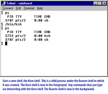 This is a child process under the Bourne shell in which it was created