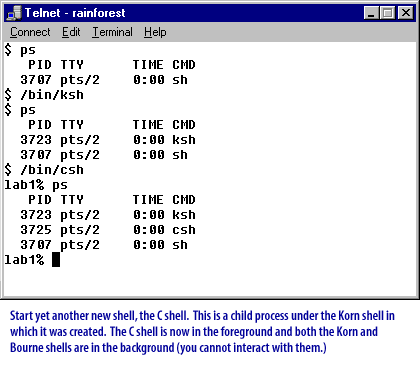 The C shell is now in the foreground and both the Korn and Bourne shells are in the background. In the listing above, the /bin/ksh process (PID 3723) was started from the /bin/sh process (PID 3707), so 3707 is listed as the PPID of 3723.  The  /bin/csh process (PID 3725) was started from the /bin/ksh process (PID 3723), so 3725 is listed as the PPID of 3725.