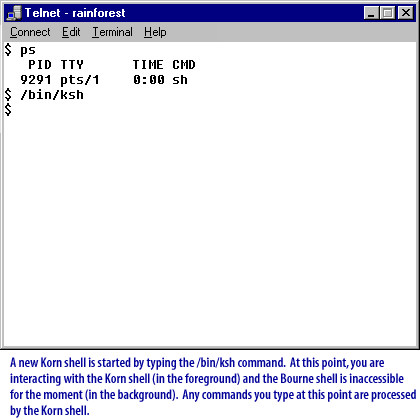 Unix Shells 2