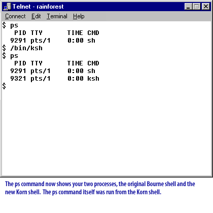 Unix Shells 3