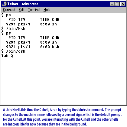 Unix Shells 4