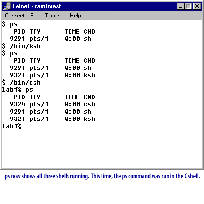 Unix Shells 5