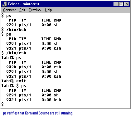 Unix Shells 7