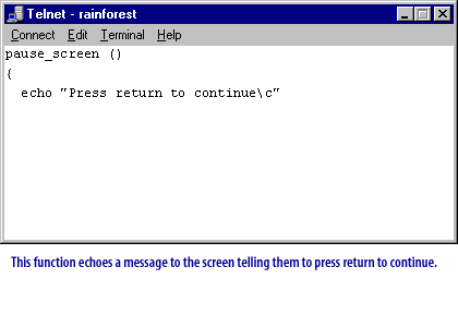This function echoes a message to the screen telling them to press return to continue 