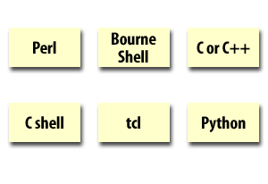 Shell Scripting Optoins