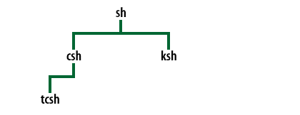 4) The C shell is refined in the TENEX/TOPS C shell.