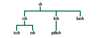 6) The Z shell and public domain Korn shells build upon their predecessors.