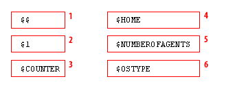 Variables within Scripts