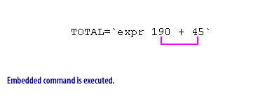 4) Embedded command is executed.