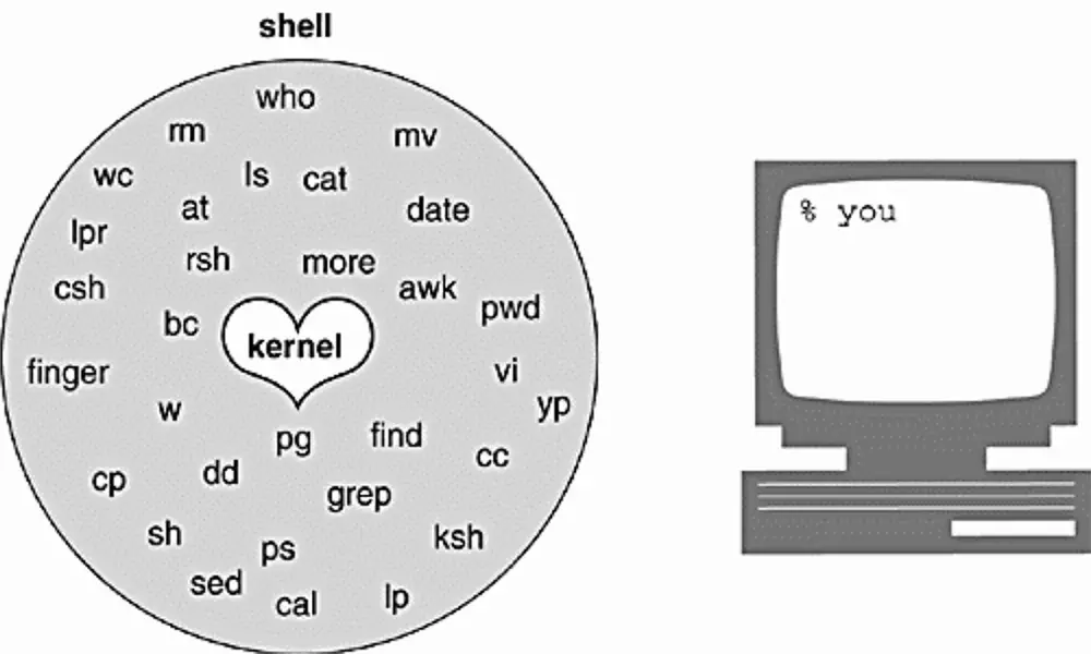 How you interact with the shell