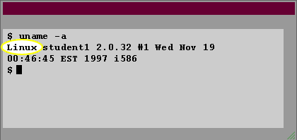 5) The output from the uname -a command has the following components: The name of the operating system.